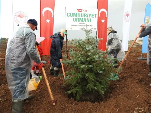 "Geleceğe Nefes" Ağaçlandırma Etkinliği 11.11.2023 Cumartesi Günü Saat:11.11'de İlçemiz Karaağaç Köyünde Gerçekleştirildi